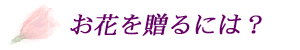 ��c��@��X�@�ԉ��@�Ԃ𑡂�ɂ�