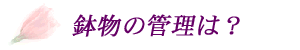 ��c��@��X�@�ԉ��@���̊Ǘ�