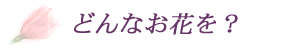 ��c��@��X�@�ԉ��@�ǂ�ȉԂ�