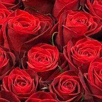 東京都大田区山王　大森の花屋　大花園（だいかえん）季節の旬な花をあなただけの贈り物に！上質でモダンな花贈りを大森スタイルでお届けします。クリスマス赤バラ