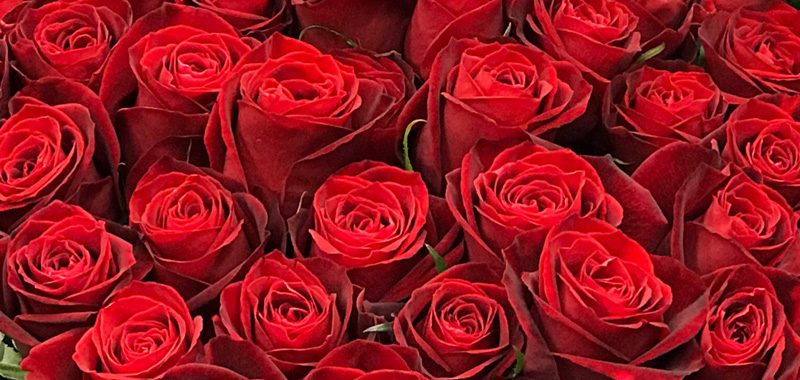 東京都大田区山王　大森の花屋　大花園（だいかえん）季節の旬な花をあなただけの贈り物に！上質でモダンな花贈りを大森スタイルでお届けします。クリスマス赤バラ