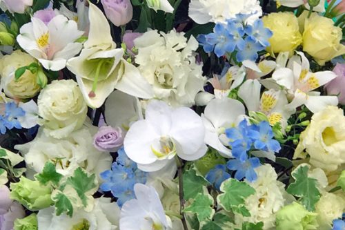 東京都大田区山王　大森の花屋　大花園（だいかえん）季節の旬な花をあなただけの贈り物に！上質でモダンな花贈りを大森スタイルでお届けします。お彼岸の仏花