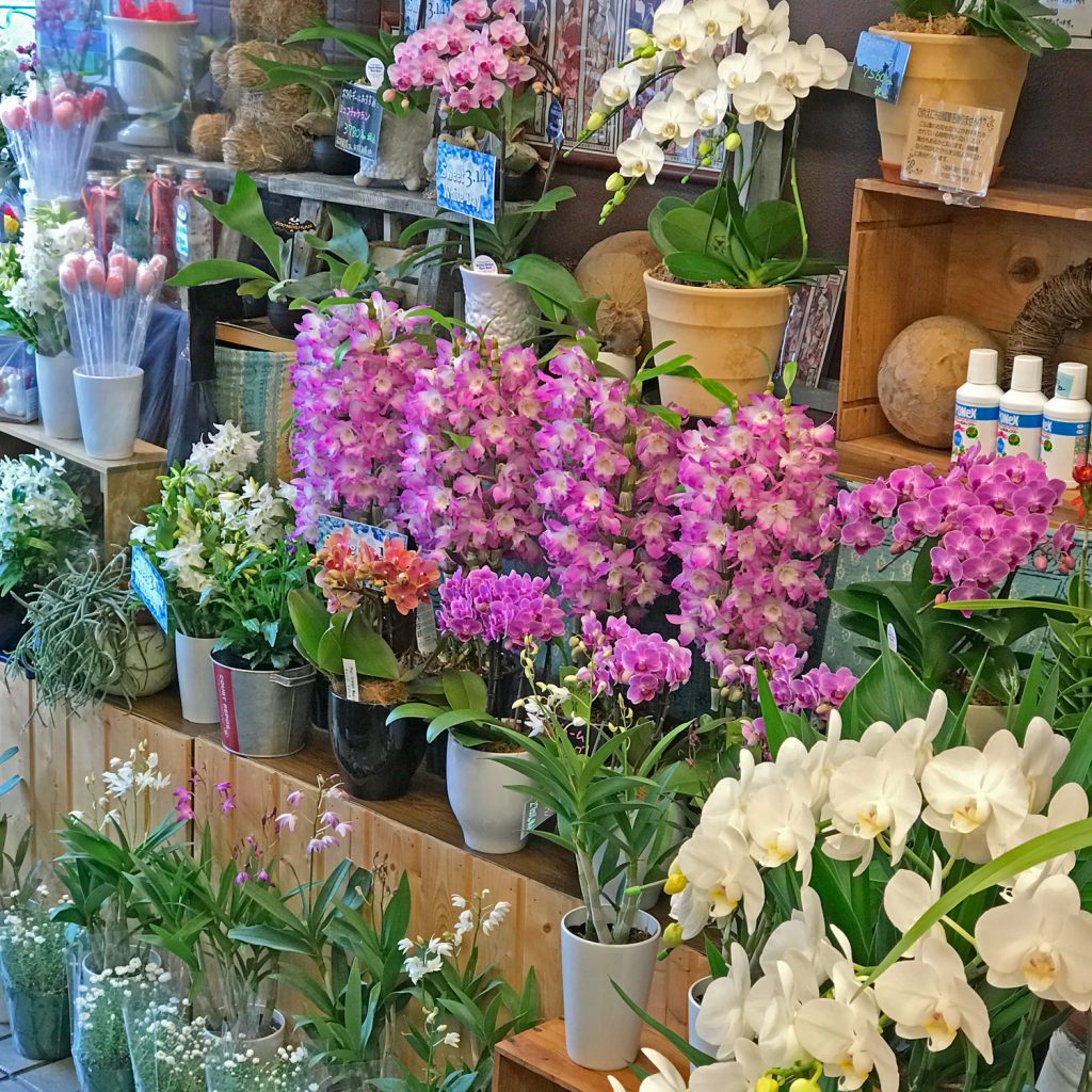 東京都大田区山王　大森の花屋　大花園（だいかえん）季節の旬な花をあなただけの贈り物に！上質でモダンな花贈りを大森スタイルでお届けします。ホワイトデー