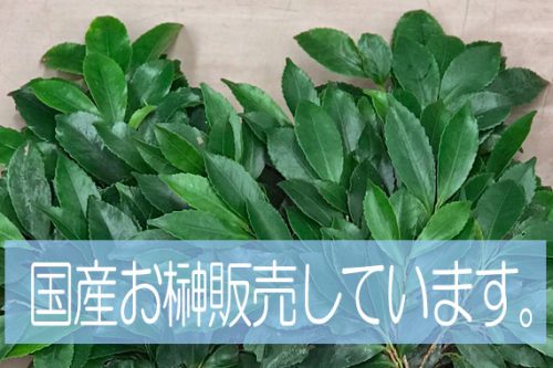 東京都大田区山王　大森の花屋　大花園（だいかえん）季節の旬な花をあなただけの贈り物に！上質でモダンな花贈りを大森スタイルでお届けします。お榊
