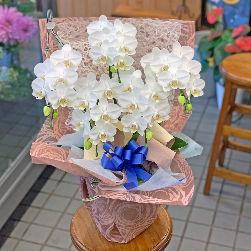 東京都大田区山王　大森の花屋　大花園（だいかえん）季節の旬な花をあなただけの贈り物に！上質でモダンな花贈りを大森スタイルでお届けします。ミニコチョウラン