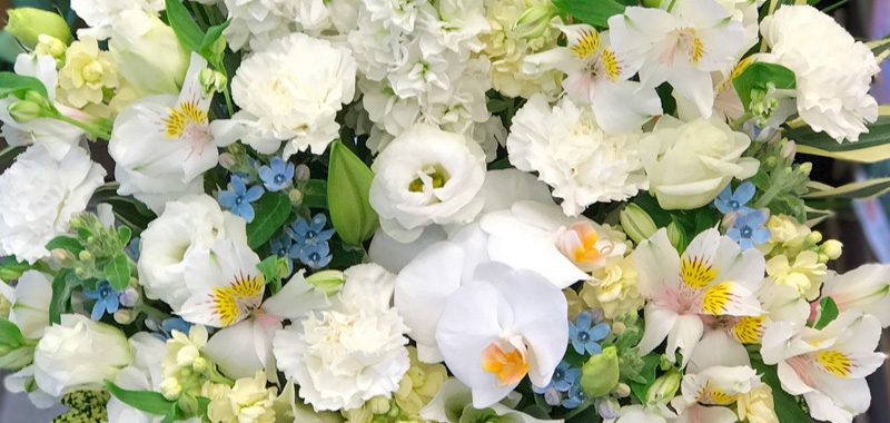 東京都大田区山王　大森の花屋　大花園（だいかえん）季節の旬な花をあなただけの贈り物に！上質でモダンな花贈りを大森スタイルでお届けします。喪中見舞い
