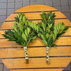 東京都大田区山王　大森の花屋　大花園（だいかえん）季節の旬な花をあなただけの贈り物に！上質でモダンな花贈りを大森スタイルでお届けします。